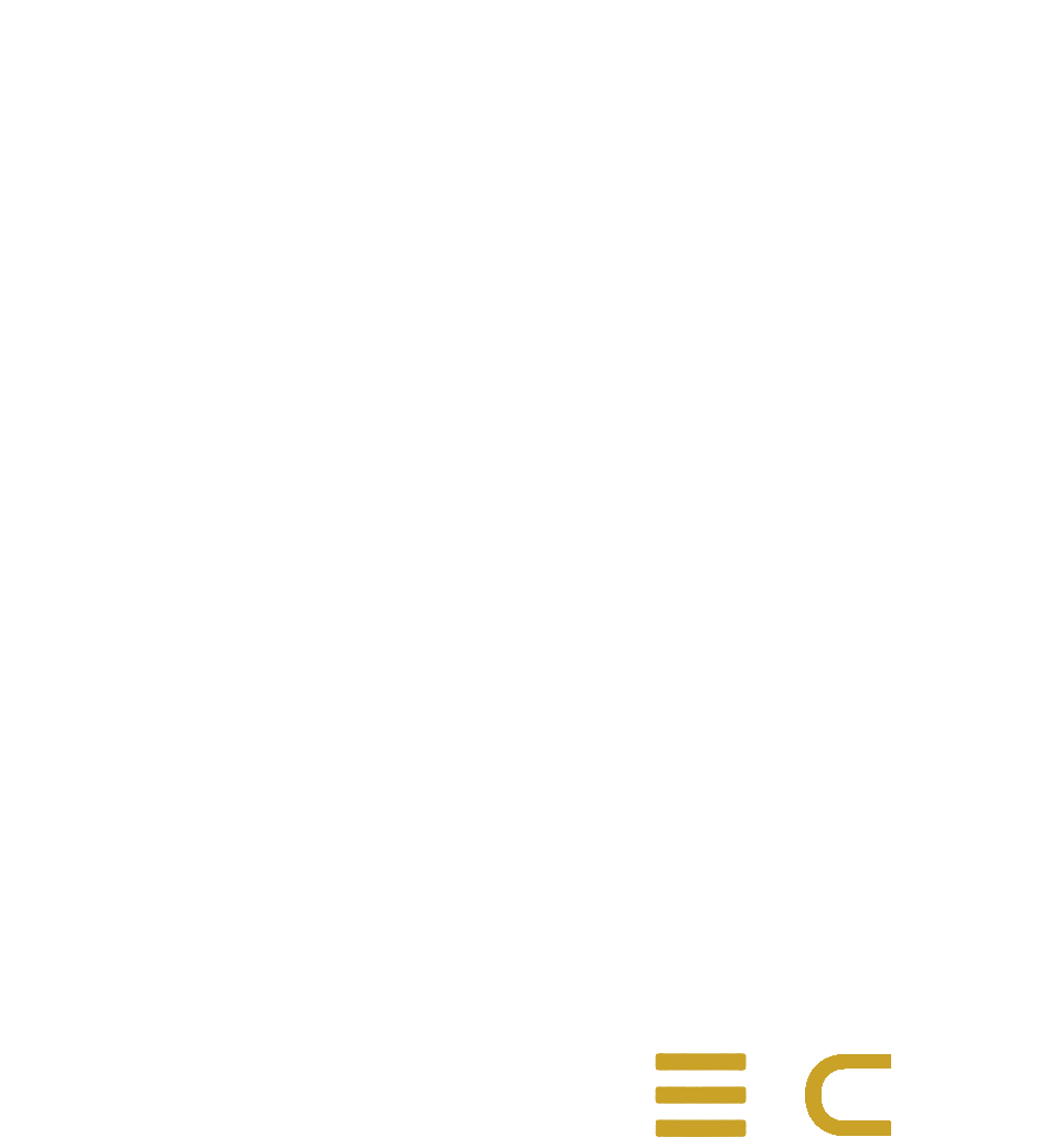 NDB Connect Logo